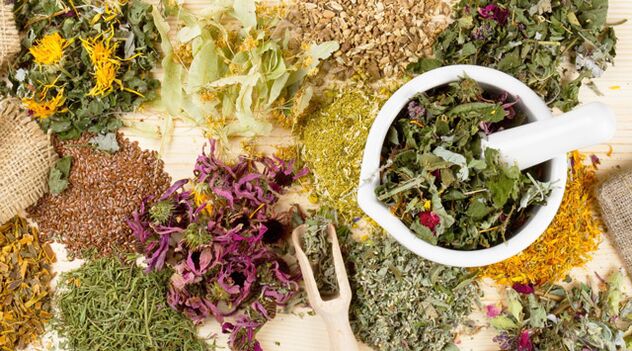 Plantas medicinales que ayudan en la lucha contra la diabetes mellitus